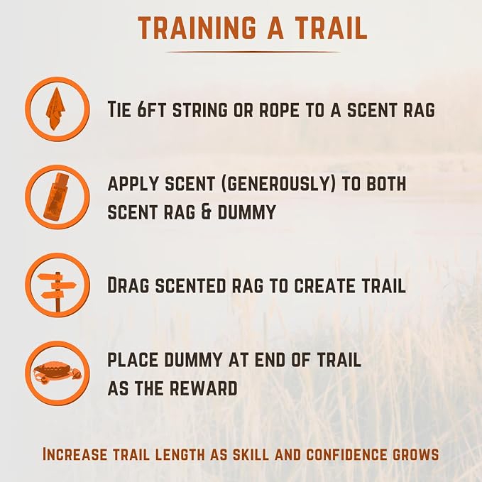 Ultimate Waterfowl Dog Training Scent - with Realistic Mallard Training Dummy Included for Effective Bird Dog Training