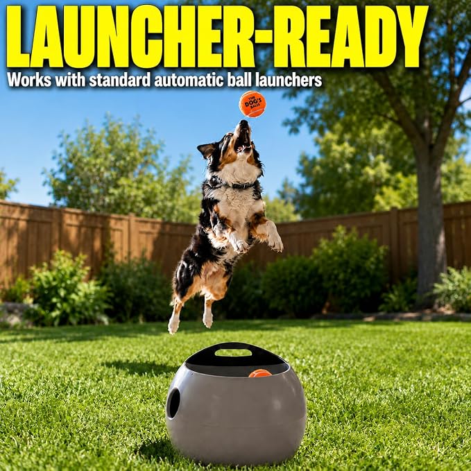 The Dog's Balls Dog Tennis Balls Tough 2.5" 12-Pack Orange Floats in Water | Our fetch balls combine non-abrasive felt exterior and a thicker rubber core Durable Dog Toy for Outdoor Play & Training