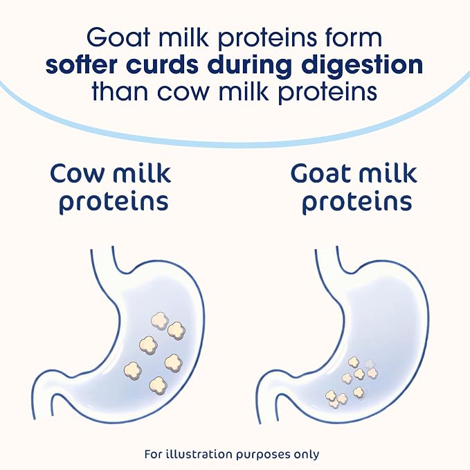 Kabrita Goat Milk-Based Infant Formula Powder, Designed for Gentle Digestion, Gentle Alternative to Cow’s Milk, with Iron, DHA, ARA & Prebiotics, for Infants 0–12 Months, Non-GMO, 28 oz (Pack of 2)