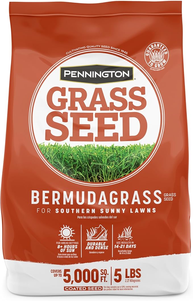 Pennington Bermudagrass Grass Seeds for Lawn, 5 lb