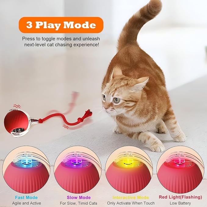 Agile Moving Cat Ball Toy with Rope (Red)