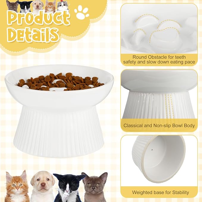 Tioncy 2 Pcs Raised Cat Slow Feeder Bowl Ceramic Elevated Cat Dog Food Bowl No Spill High Edge for Dry Wet Food and Water Easy to Clean, Dishwasher Safe (Black,White)