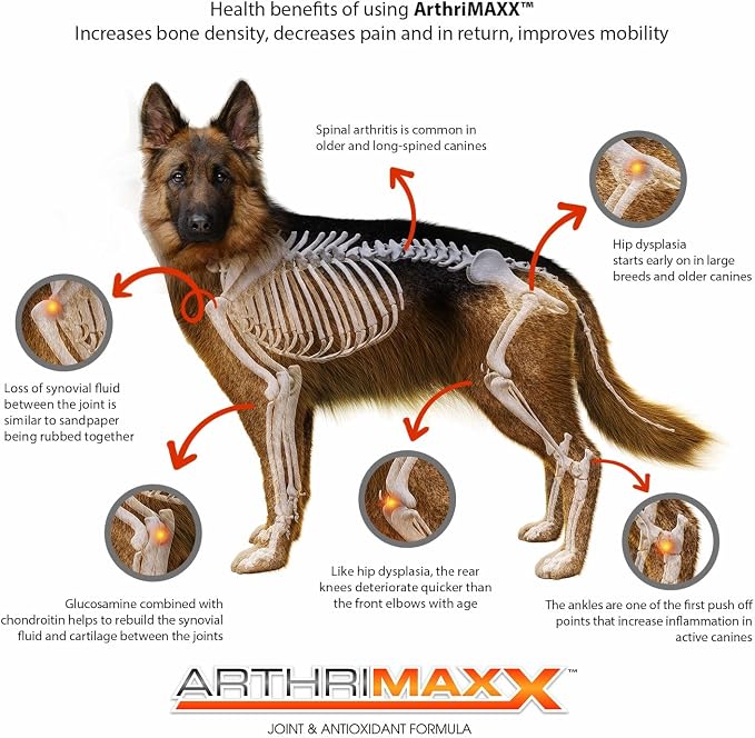 ArthriMAXX Hip & Joint Soft Chews for Dogs – Tasty Liver-Flavored Mobility Support Treats for Daily Comfort and Flexibility