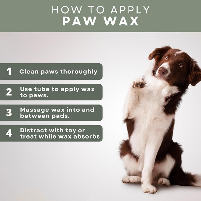 Rhino Wax - All-Terrain Dog Paw Waxes - 4 Protective Balms (Trail + Street + Beach + Snow) - Each Wax for Dogs is Specifically Formulated for Outdoor Environments - Natural Lick-Safe Ingredients - USA