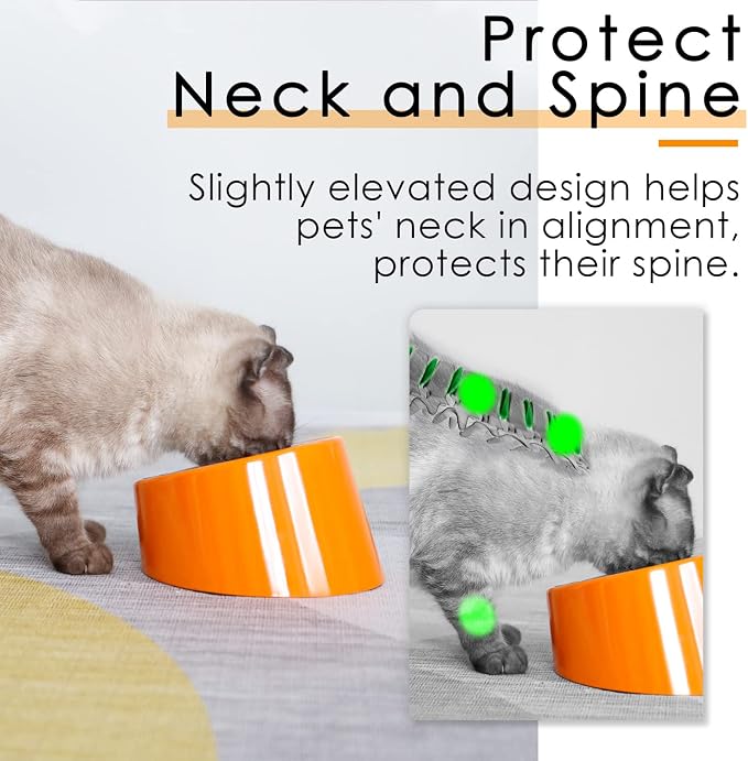 SuperDesign Mess Free 15° Slanted Bowl for Dogs and Cats, Tilted Angle Bulldog Bowl Dog Feeder, Non-Skid & Non-Spill, Easier to Reach Food S/0.5 Cup Bright Orange