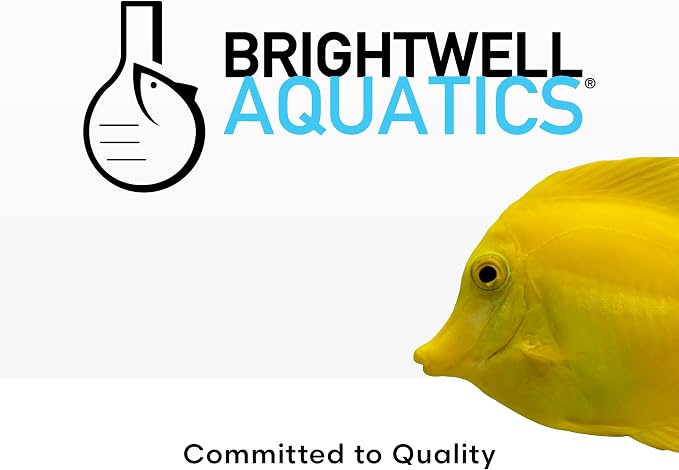 Brightwell Aquatics Florin-Fe Iron Supplement for Planted Aquariums – Dual-Action Iron Source for Plant Growth, Chlorophyll & Vibrant Foliage – Daily Dosing, 2L