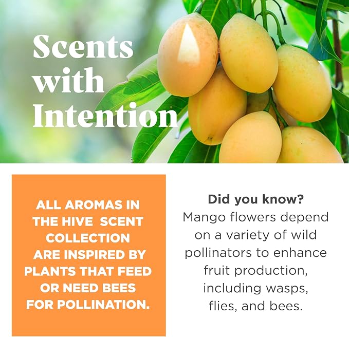 HIVE Parent (Sweet Mango, Hive Chew Toy for Large Dogs)
