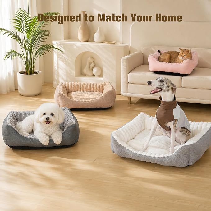 Avont Supportive Dog Bed for Small Dogs & Cats, Plush Foam Fill, Cream | Removable Machine Washable Cover, Low 5.12" Entry for Pups & Seniors, 7:3 Foam-PP, Non-slip Bottom, Hidden Chew-proof Zippers
