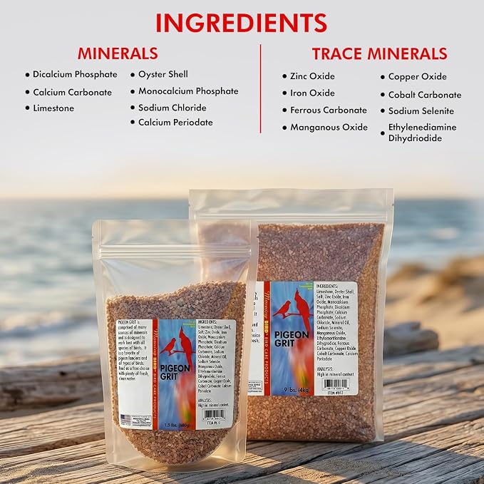 Morning Bird Pigeon Grit - Healthy & Nutritious Pigeon Food to Support Strong Muscles & Bones for Grit Eating Birds - Supports Digestion & Packed with Essential Minerals 9 lbs