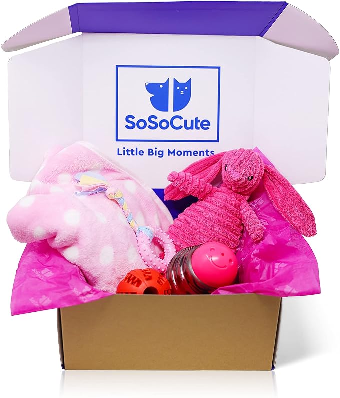 Puppy Starter Kit – 5pc Dog Toy Gift Set for Small Dogs – Blanket, Squeaky Plush, Teething Ring, Treat Ball – New Puppy Essentials Gift Box (Pink)