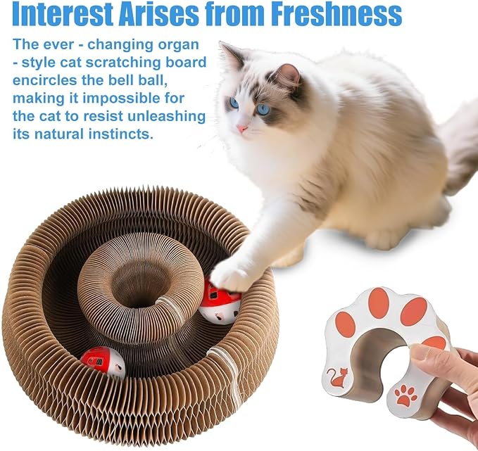 2-Pack Magic Organ Cat Toy | Kitty Curls Cat Toy | Reversible Cat Scratcher Pad with Bell Balls, Corrugated Cardboard Scratching Board for Indoor Cats, Furniture Protection