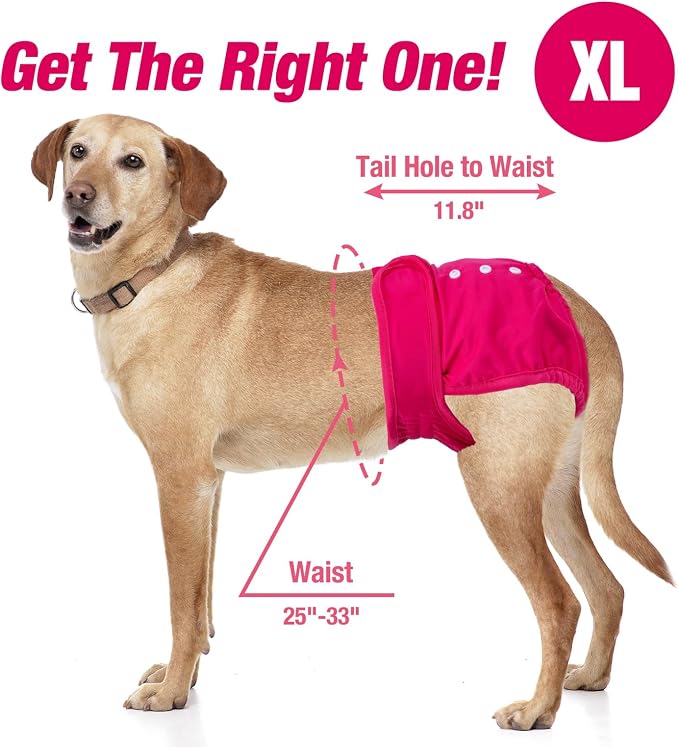 Pet Soft Washable Female Diapers (3 Pack) Female Dog Diapers, Comfort Reusable Doggy Diapers for Girl Dog in Period Heat (Classy, XL)