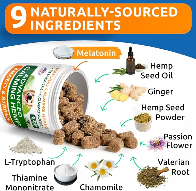Allergy Relief + Advanced Calming Bundle - Anti-Itch Skin&Coat + Anxiety Relief - Omega 3 Fish Oil + Hemp Oil + Melatonin - Itching &Paw Licking + Separation Aid - 240 Chews - Made in USA