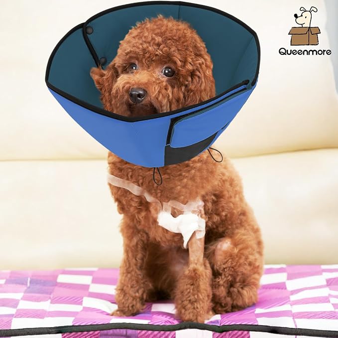 Queenmore Dog Cones for Medium Dogs, Soft Dog Cone Collar After Surgery, Pet Cone for Dogs Wound Care, Spay, Neuter, Breathable Pet Surgery Collars & Cones, Blue M