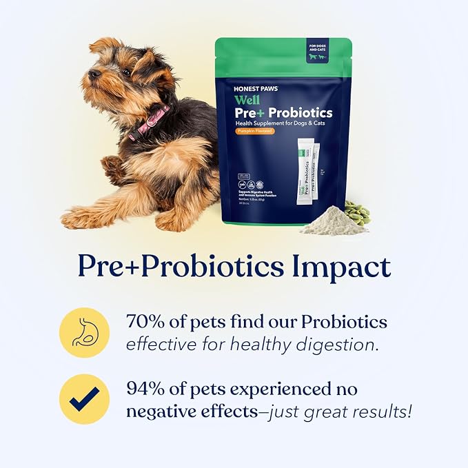 Honest Paws Probiotics for Dogs - Dog Digestion Gut Health Probiotic Powder with Prebiotic Made in The USA, Digestive and Immune Support - Digestive Enzymes with Pumpkin Flavor (30 Sticks)