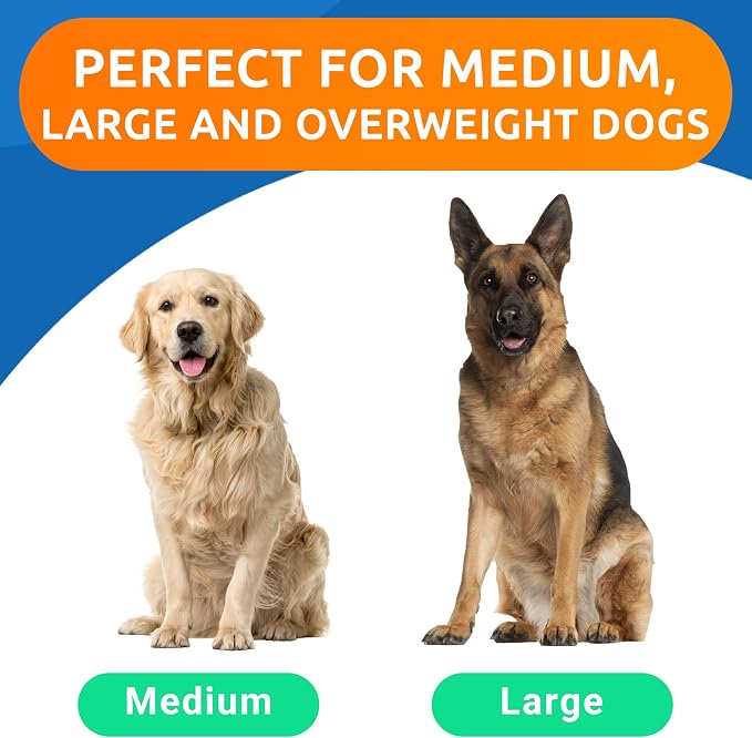 Glucosamine Chondroitin Dog Hip & Joint Supplement - Joint Pain Relief - Hip & Joint Chews for Dogs - Joint Support Large Breed - Senior Doggie Vitamin Pills Joint Health - (360 Treats - BBQ Chicken)