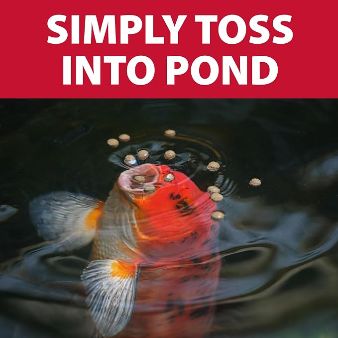 The Pond Guy Growth & Vibrance Fish Food for Show Quality Koi & Goldfish, Premium Protein Floating Pellets for Balanced Nutrition, 2 lbs