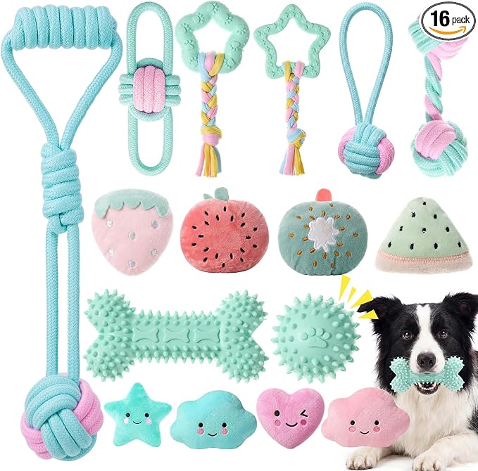 Leitee 16 Pcs Puppy Toys for Teething Dog Chew Toys for Small Dogs Soft Interactive Squeaky Plush Balls Doggy Teeth Tug of War and Rope for Small Dogs Puppy (Cute,Lemon Green,Pink)