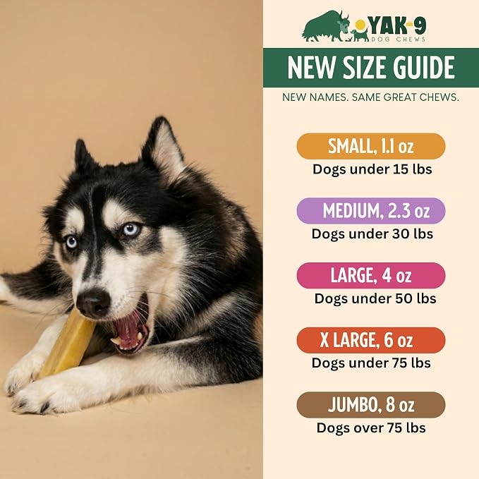 Yak9 Cheese Dog Chews, High Protein Treats, Natural, Rawhide Free, Long Lasting with Vitamins & Minerals, Large Size, Jumbo, 1 PC