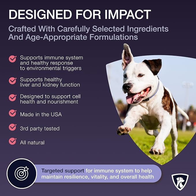 NutraRegen Dog Digestive and Immune Support Bundle | Mushroom & Probiotic Powder Supplements to Support Daily Wellness, Comfort, and Gut Balance, 7 Bn CFU | 60 Scoops, 4.0 oz