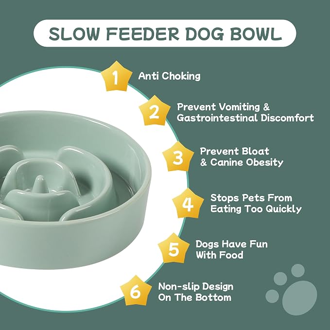 Havniva 6.1” Raised Slow Feeder Dog Bowls, 0.9 Cups Ceramic Dog Bowl Slow Feeding for Small Breed, Elevated Puzzle Dog Food Bowl with Wooden Stand Non-Slip Anti-Gulping & Anti-Choking