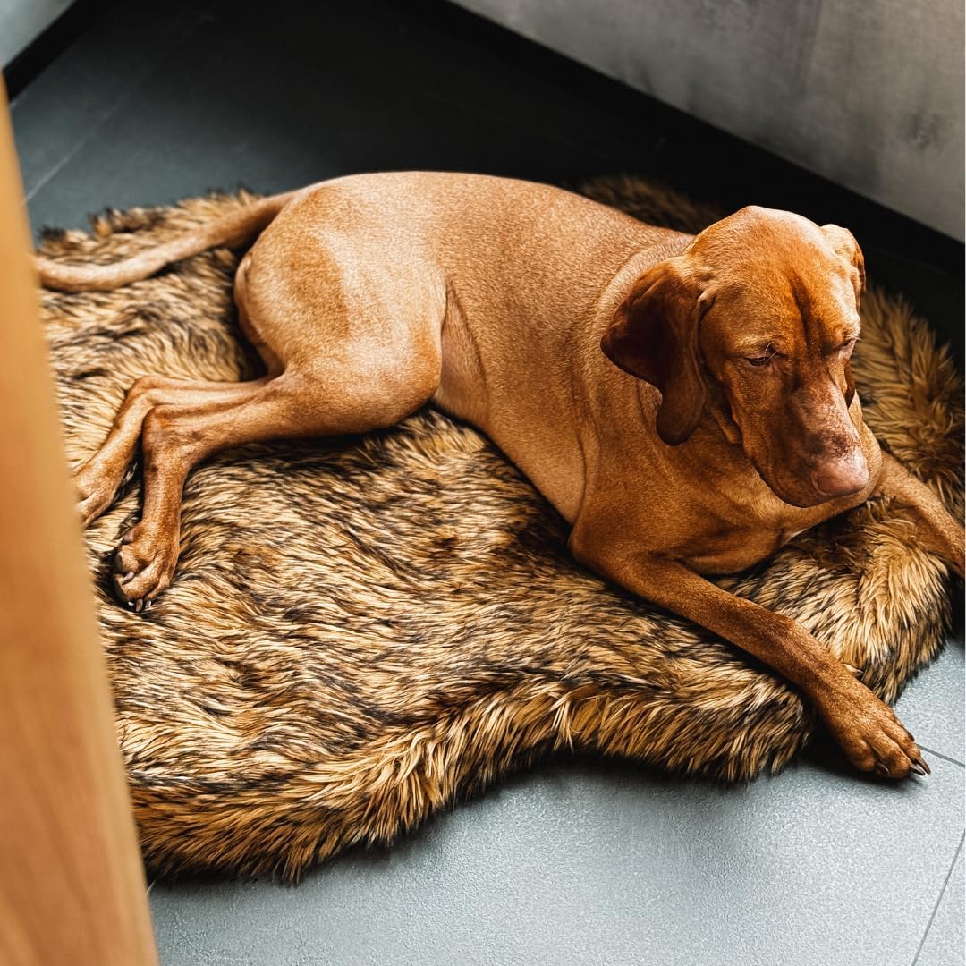 IHAPPYDOG Luxury Faux Fur Orthopedic Dog Bed, Memory Foam Dog Bed for Small, Medium, Large and XL Pets, Fluffy Pet Bed with Waterproof and Washable Cover (Brown, 40"x25")