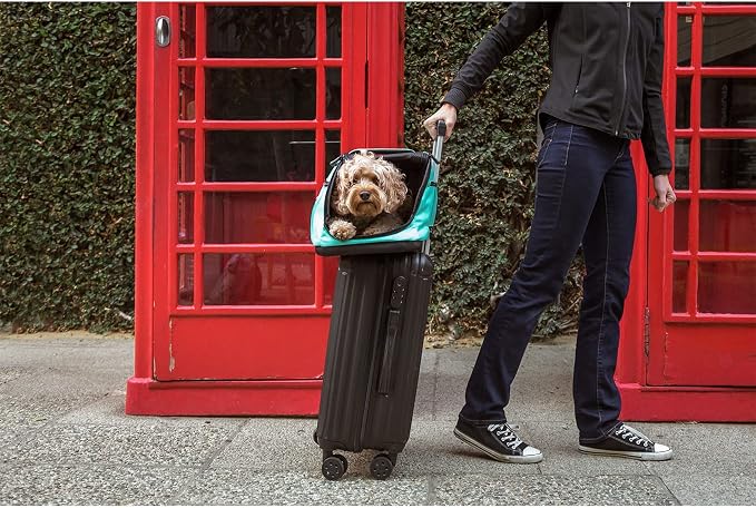 Sleepypod Air - Airline Approved Carrier for Cats and Dogs (First Blush)