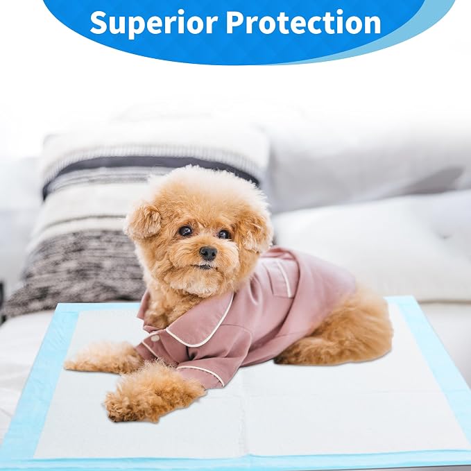 Puppy Pee Pads 22" x 22" 80 Pack, Ultra Absorbent Leakproof Potty Pads for Puppies, Small Dogs, and Cats, Heavy-Duty, Fast-Drying, Wee Wee Pads for Indoor Training and Crates by FRONTLINE