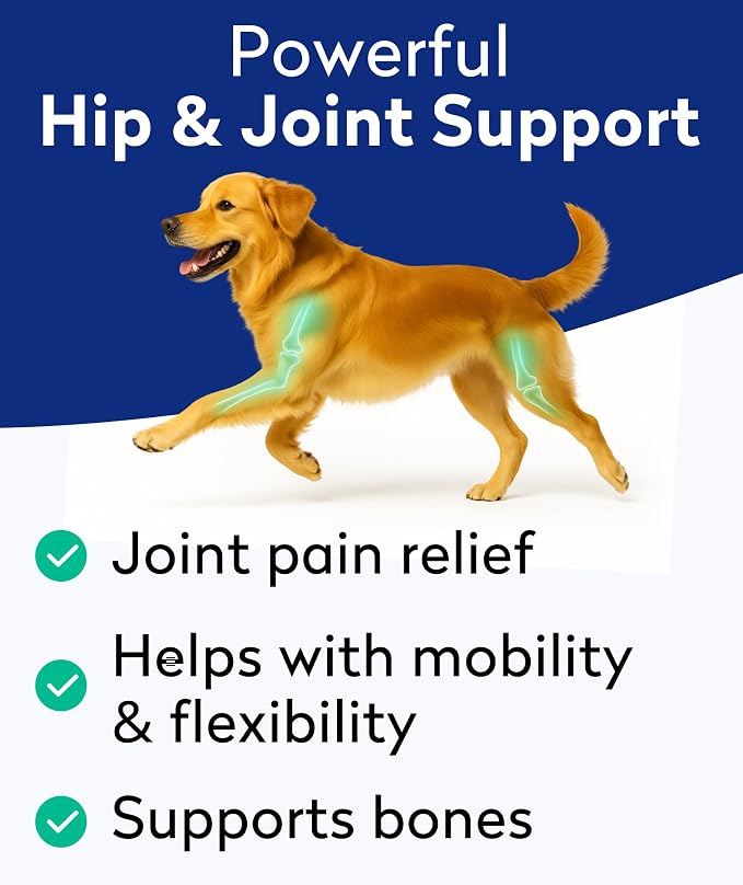 Pawfect Mobility Glucosamine Chews for Dogs - Hip & Joint Health Supplement Chews w/Omega-3, Chondroitin, MSM - Made in USA - Joint Pain Relief - Hip & Joint Care - 120ct