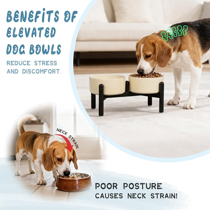 Ceramic Elevated Dog Bowl Set - Dog Feeder Station with Cute-Style Double Bowls for Small and Medium Size Breed - Non-Slip Raised Dish for Food and Water Feeding- 6 Inch - 3.5 Cups / 20 fl oz - Blue