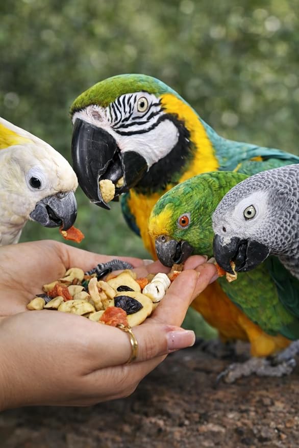 Birds LOVE All Natural Garden Blend Bird Food for Parrots 6lb