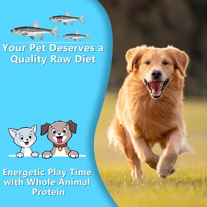 Minnows Dog Treats, Single Ingredient Dried Minnows for Dogs & Cats, Air Dried, Grain-Free, High-Protein, 100% Natural Premium Cat & Dog Treats 8 oz