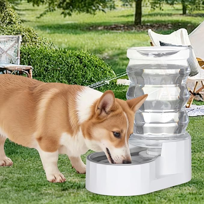 RIZZARI 6.5L Stainless Steel Pet Water Dispenser – Gravity Auto-Refill Waterer with Ion Exchange & Activated Carbon for Cats & Small Dogs, Spill-Resistant for Homes & Indoor Pet Spaces