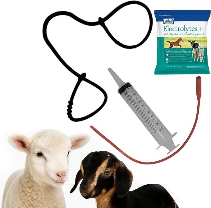 LBH MARKET Lamb Feeding Tube Syringe & Lamb Puller Kit for Sheep & Goats – Complete Lambing & Newborn Care Set
