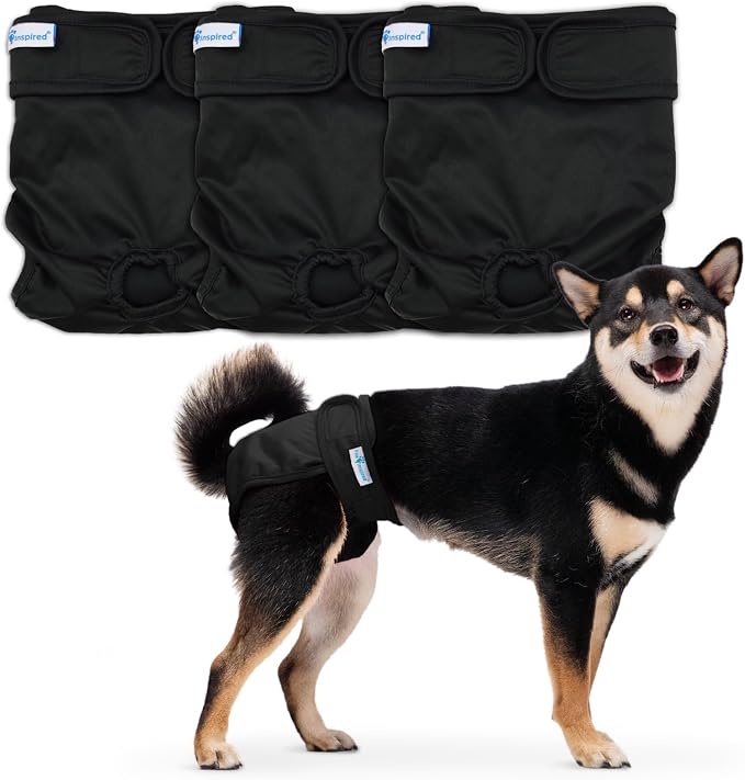 Paw Inspired Washable Dog Diapers (3 Pack) | Reusable Cloth Doggy Diapers for Female Small, Medium, Large Size Dogs (Black with Black Lining, Size Medium)