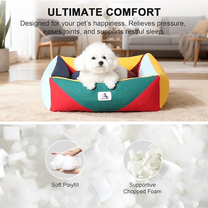 Cotton Canvas Dog Bed, Cute Dog Beds for Small Dogs, Puppy Bed with Washable Removable Cover, Durable 290 GSM Cotton Anti-Chewing Pet Bed with Anti-Slip Bottom (24"x20"x8", Red&Yellow&Green)