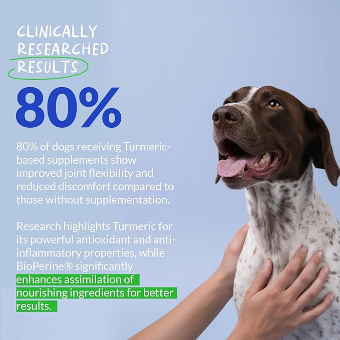 Turmeric for Dogs 120 Tablets - Anti-Inflammatory, Joint & Collagen | Curcumin & BioPerine for maximum absorption. Supports joint health, reduces inflammation & eases pain. 120 chewable tablets.