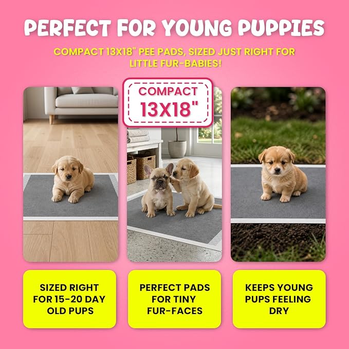 FPN Puppy Pads for Dogs 100 Count Pink Small 13X18 Inch | Disposable Pee Pads for Puppies & Small Dogs | Pet Training Pads for Potty Training, Small Dog Pee Pads, Puppy Pads Bulk