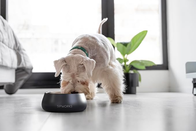 Sipworks Stainless Steel Dog Bowl – 32oz Weighted Metal Food and Water Bowls for Dogs and Cats with Non-Slip Base - Pet Bowls for All Breeds Sizes for Travel & Outdoor Play | Powder Blue