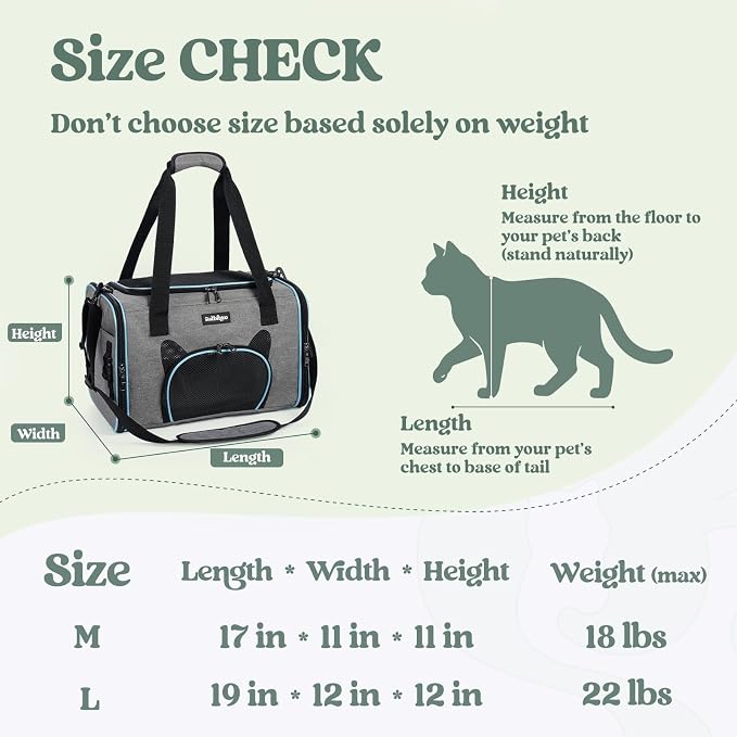 rabbitgoo Cat Carrier Soft Sided, Stable Portable Pet Carrier with Safety Buckles for Car Travel Vet Visit Airline, Comfortable Breathable Kitten Bag for Small Medium Cat, Grey, 17x11x11 inch