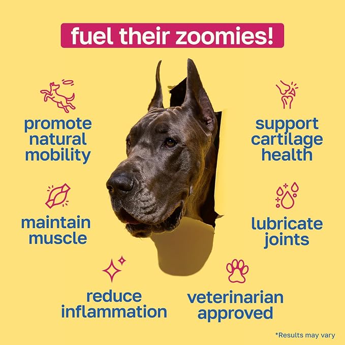 Happy Paws Hip and Joint Supplement for Dogs, Glucosamine Chondroitin for Dogs of All Breeds, Joint Support Soft Chews with Hyaluronic Acid & Turmeric, Vegan Bacon Flavor, Non GMO, 100 Soft Chews
