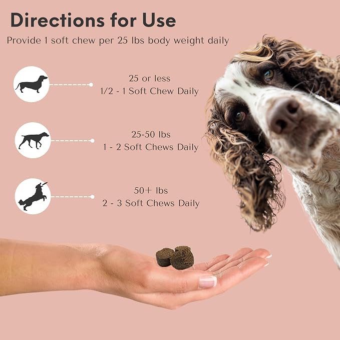 Glucosamine for Dogs - Beef Flavor Senior Dog Glucosamine Chondroitin Chews, 60 Count, Supports Hip & Joint Health, MSM, Turmeric, Collagen, Large Dog Supplement, 180g