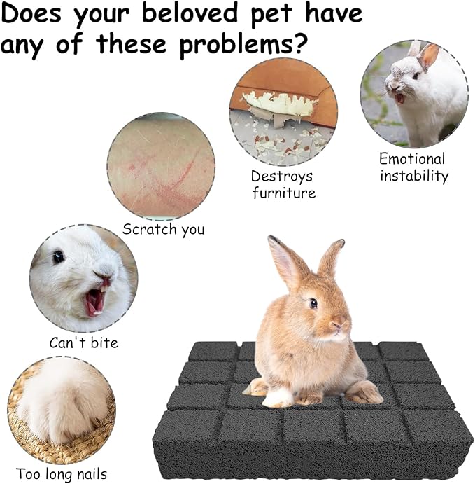 Hamiledyi Rabbit Scratch Foot Pads Bunny Grinding Claw Pad 2 PCS Natural Small Animal Hamster Lava Stone for Teeth Grinding Rabbit Scratching pad Chew Toy Rabbit Cage Mats Plastic Bunny Feet Pad Playp
