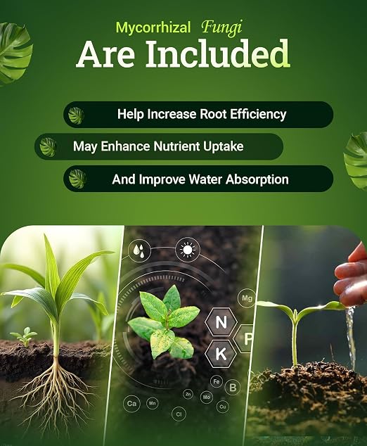 FoxFarm Happy Frog Acid Loving Plants Fertilizer - Slow Release Fertilizer for Azaleas, Rhododendrons, Blueberries & More - Contains Mycorrhizal Fungi & Soil Microbes - OMRI Listed - 4 lb