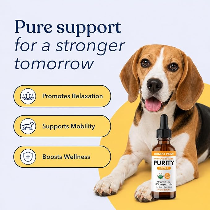 Honest Paws Hemp Oil for Dogs - Natural Hemp Seed Oil Drops Rich in Omega 3 6 9 - May Help Support Calm Behavior, Physical Comfort & Overall Wellness - Made in USA