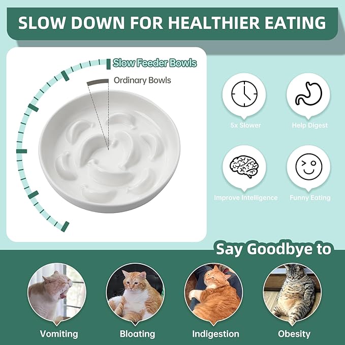 Slow Feeder Cat Bowls with Stand - Double Ceramic Cat Dishes and Splash-Proof Base Bundle - Elevated Feeding Station - White & Green