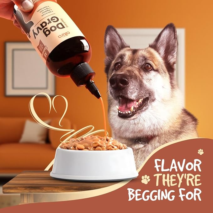 Everyday Dog Gravy - Hickory Bacon | Wet Dog Food Topper for Dry and Wet Food with Glucosamine, MSM, Bone Broth, Omega 3, Probiotics & Taurine | Picky Eaters, Hip & Joint Support | 16 oz