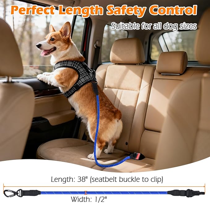 PetBonus Dog Seat Belt for Car and 2-Pack Silicone Collapsible Dog Bowls