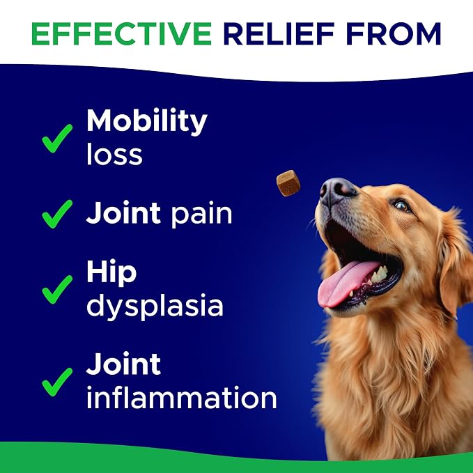 Glucosamine for Dogs Hip & Joint Supplement - Chondroitin, Omega-3, MSM - Joint Health & Pain Relief - Senior & Large Dogs - Made in USA - 180 Mobility Chews