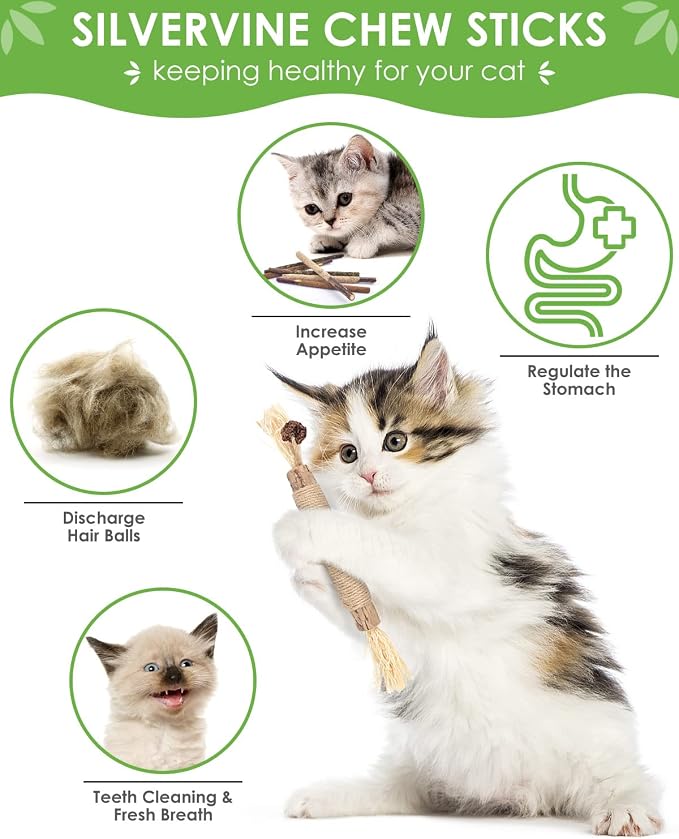 TINDTOP Silvervine Chew Sticks for Cats, 12 Pack Natural Catnip Chew Toys for Kittens Teeth Cleaning, Matatabi Dental Care, Increase Appetite, Calm Cat Anxiety and Stress, Cat Dental Toy | for Kittens Teeth Cleaning, Matatabi Dental Care, Increase Appe...